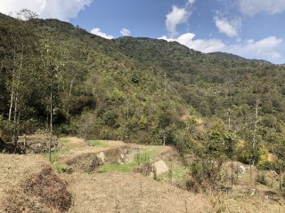 18 Aana Land Sell in Lapshiphedi Sakhu kathmandu