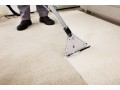 best-sofa-and-carpet-cleaning-service-kathmandu9849939242-small-0