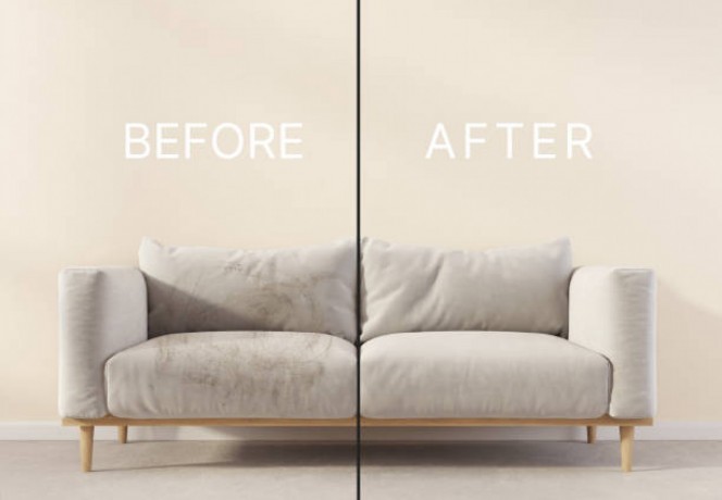 best-sofa-and-carpet-cleaning-service-kathmandu9849939242-big-1