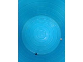 Water tank cleaning