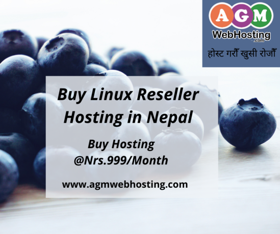 linux-reseller-hosting-nepal-agm-web-hosting-big-0
