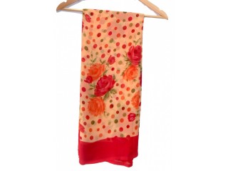 Beautiful Chiffon Saree