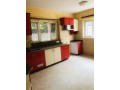 attractive-bungalow-on-rent-small-3