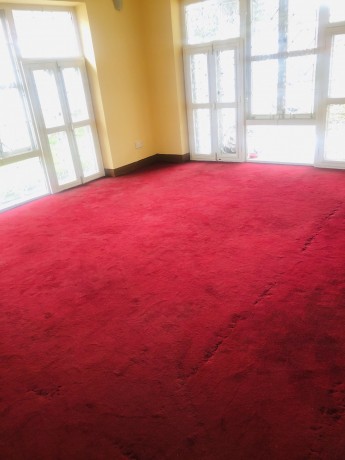 attractive-bungalow-on-rent-big-2