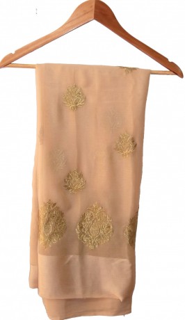 special-beautiful-chiffon-saree-big-0
