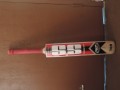 ss-english-willow-cricket-bat-small-1