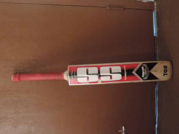 ss-english-willow-cricket-bat-big-1