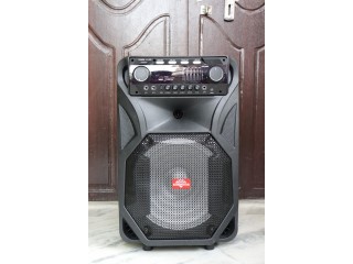 KN-12" CLB Battery Speaker
