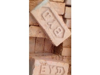 BYD (Terai Itta)/ brick no.1