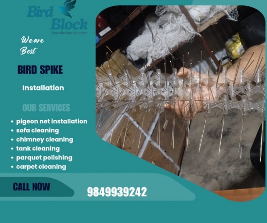 bird-spike-and-pigeon-net-installation-service-in-kathmandu-big-0