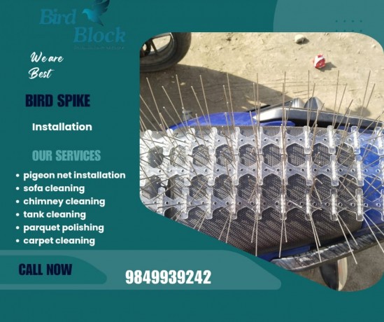 bird-spikes-installation-service-kathmandu-nepal-big-0