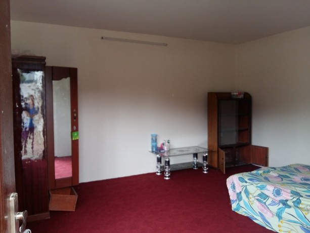 1bhk-on-rent-big-4