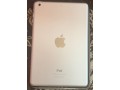 ipad-mini2-small-1