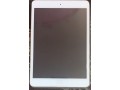 ipad-mini2-small-0