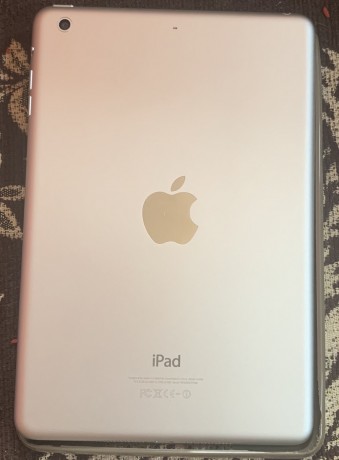 ipad-mini2-big-1