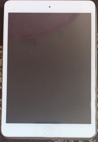 ipad-mini2-big-0