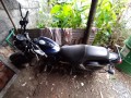 avenger-150ccbike-small-1
