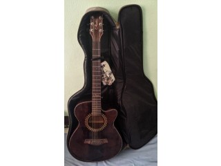Mantra moksha guitar on sale