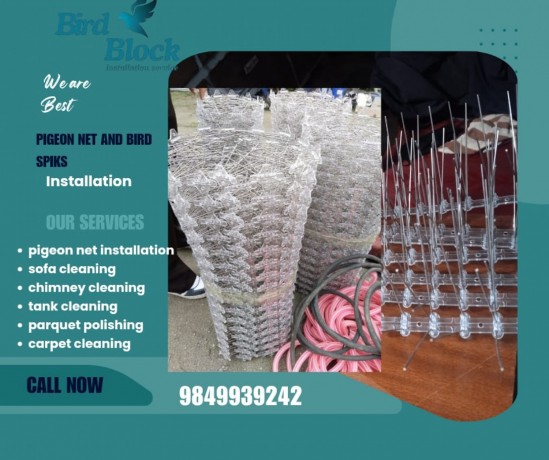 bird-spikes-installation-service-kathmandu9849939242-big-0