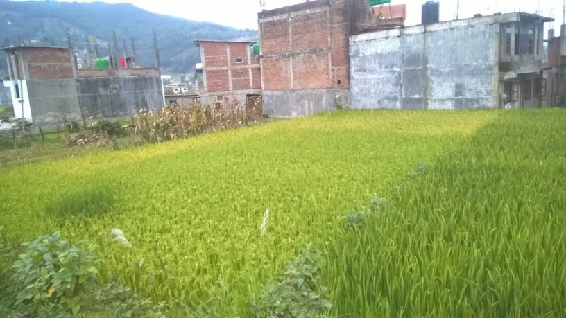 ramro-ghaderi-bikrima-in-banepa-area-big-0