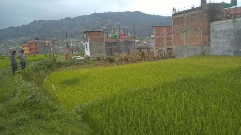 ramro-ghaderi-bikrima-in-banepa-area-big-1