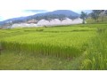 beautiful-land-ghaderi-for-sale-in-banepa-area-small-0