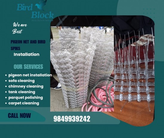 bird-spikes-installation-service-in-kathamandu-big-0