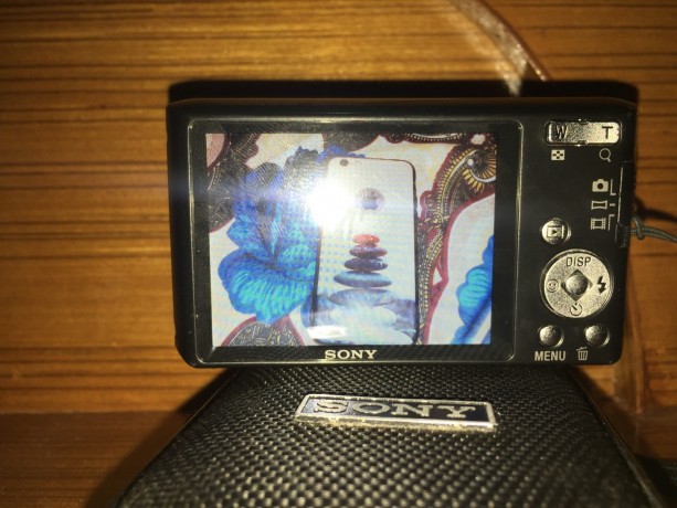 sony-digital-camera-big-2
