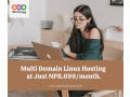 multi-domain-linux-hosting-cheap-linux-hosting-in-nepal-agm-web-hosting-small-0