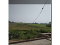 land-for-sale-at-narayanpur-dang-small-1