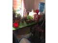 plants-gift-shop-for-sale-small-4
