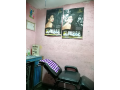 beauty-parlor-for-sale-small-2