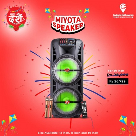 miyota-speaker-big-0