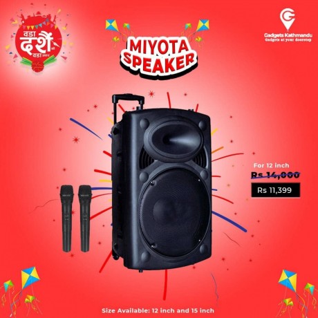 miyota-speaker-big-1