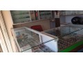 optical-store-eye-clinic-for-sale-small-0