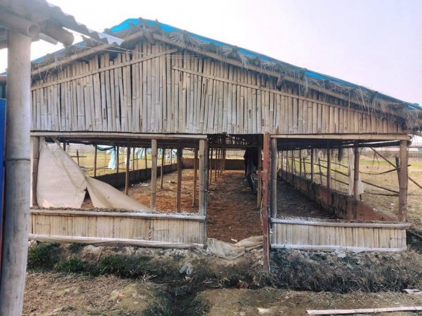 poultry-farm-for-sale-big-2