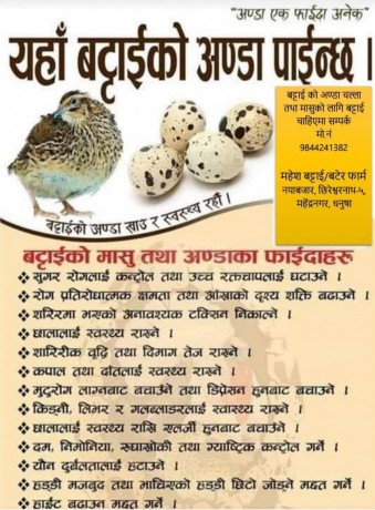 batai-bikrima-big-0