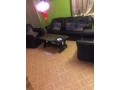 b-l-restaurant-b-small-1