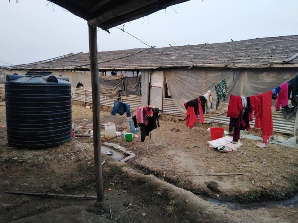 poultry-farm-b-at-mahalaxmi-big-2