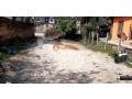 land-sale-in-panipokhari-small-2