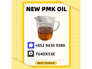 Established Production Base BM.K 5449-12-7 Powder 28578-16-7 P.MK Oil
