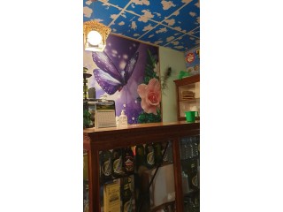 बौद्ध तीनचुलीमा चलिरहेको Restaurant बिक्रीमा