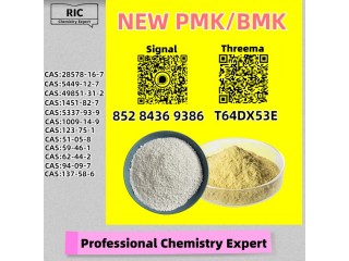 Honest Supply CAS 5449-12-7 B.MK Speedy Delivery 28578-16-7 P.MK
