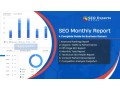 what-seo-monthly-report-should-clients-expect-small-0