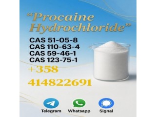 Cas 59-46-1 Procaine Powder For Sale With Safe Delivery