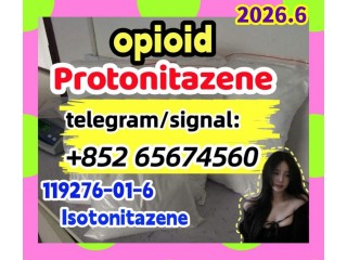 Protonitazene CAS 119276-01-6