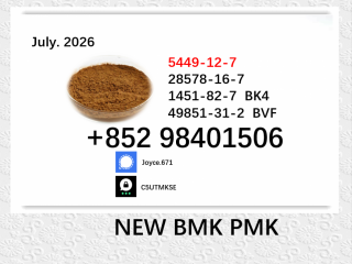 Guaranteed quality BMK 5449-12-7 PMK 28578-16-7 hot sale