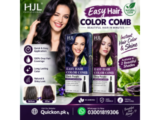 HJL Easy Hair Color Comb Best Price In Sargodha- 03001819306