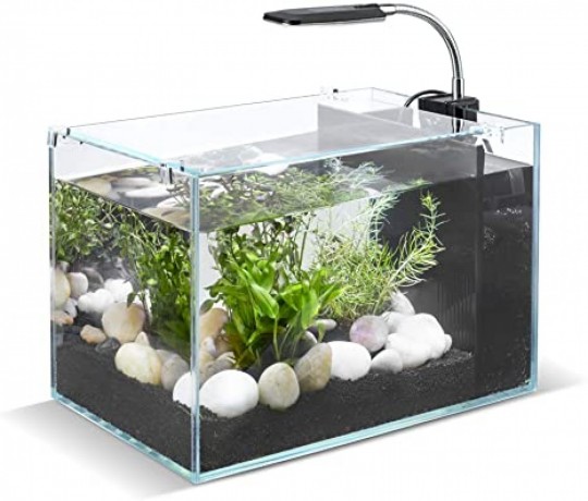 aqueriam-any-size-big-2