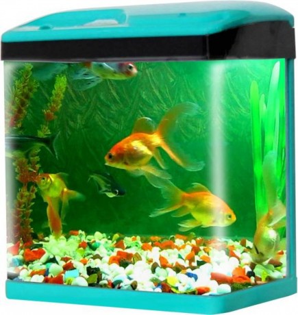 aqueriam-any-size-big-4
